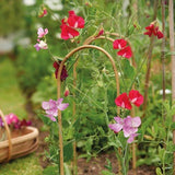 Växtstöd Bambubåge 90cm - 3st