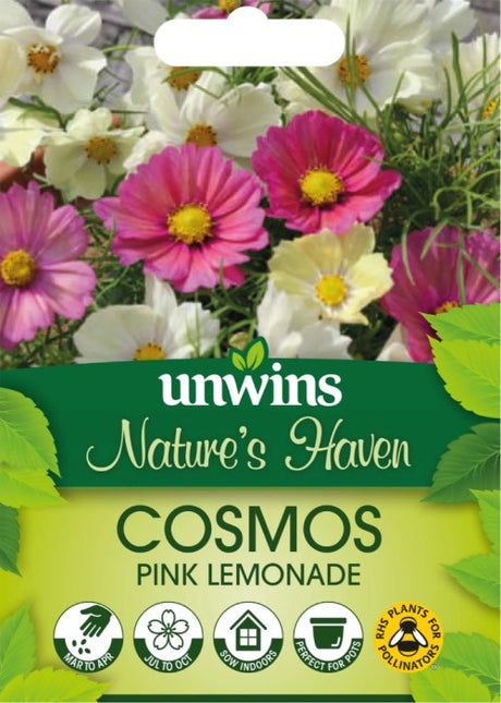 Rosenskära 'Pink Lemonade'