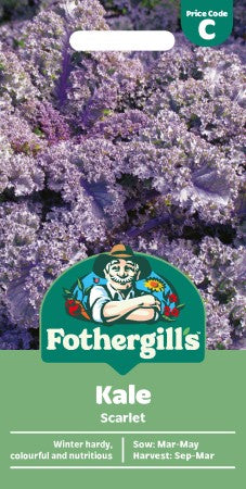 Kål 'Scarlet'