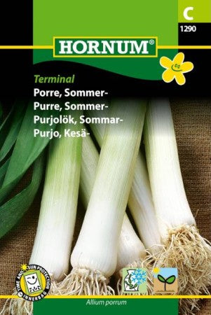 Purjolök 'Terminal' frö