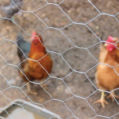 Hönsnät 25mm L10mxH0,9m
