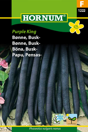 Buskböna 'Purple King' frö