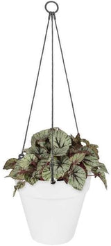 Loft Urban Ampel Hanging Basket D20cm Vit