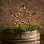 Utomhusdekoration 'Spiky Star'