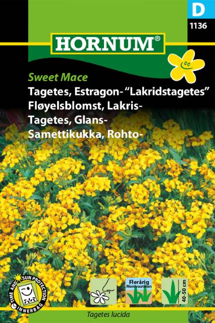 Lakritstagetes 'Sweet Mace' frö