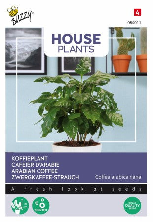 Inomhusväxt Kaffeplanta 'Arabian Coffee'