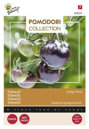 Tomat 'Indigo Rose'
