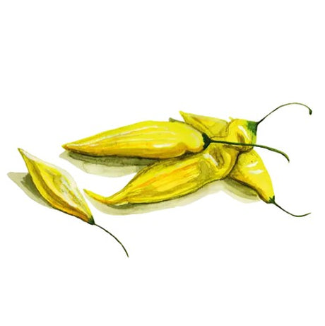 Chili 'Hot Lemon' Svenskodlat frö