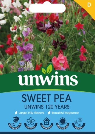 Luktärt 'Unwins 120 Years'
