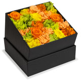 Torkade Blommor i Presentförpackning