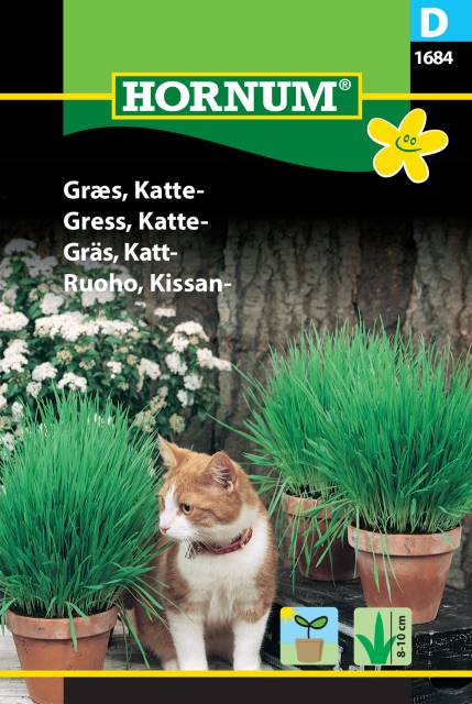 Kattgräs frö