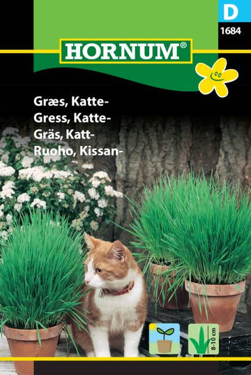 Kattgräs frö