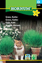 Kattgräs frö