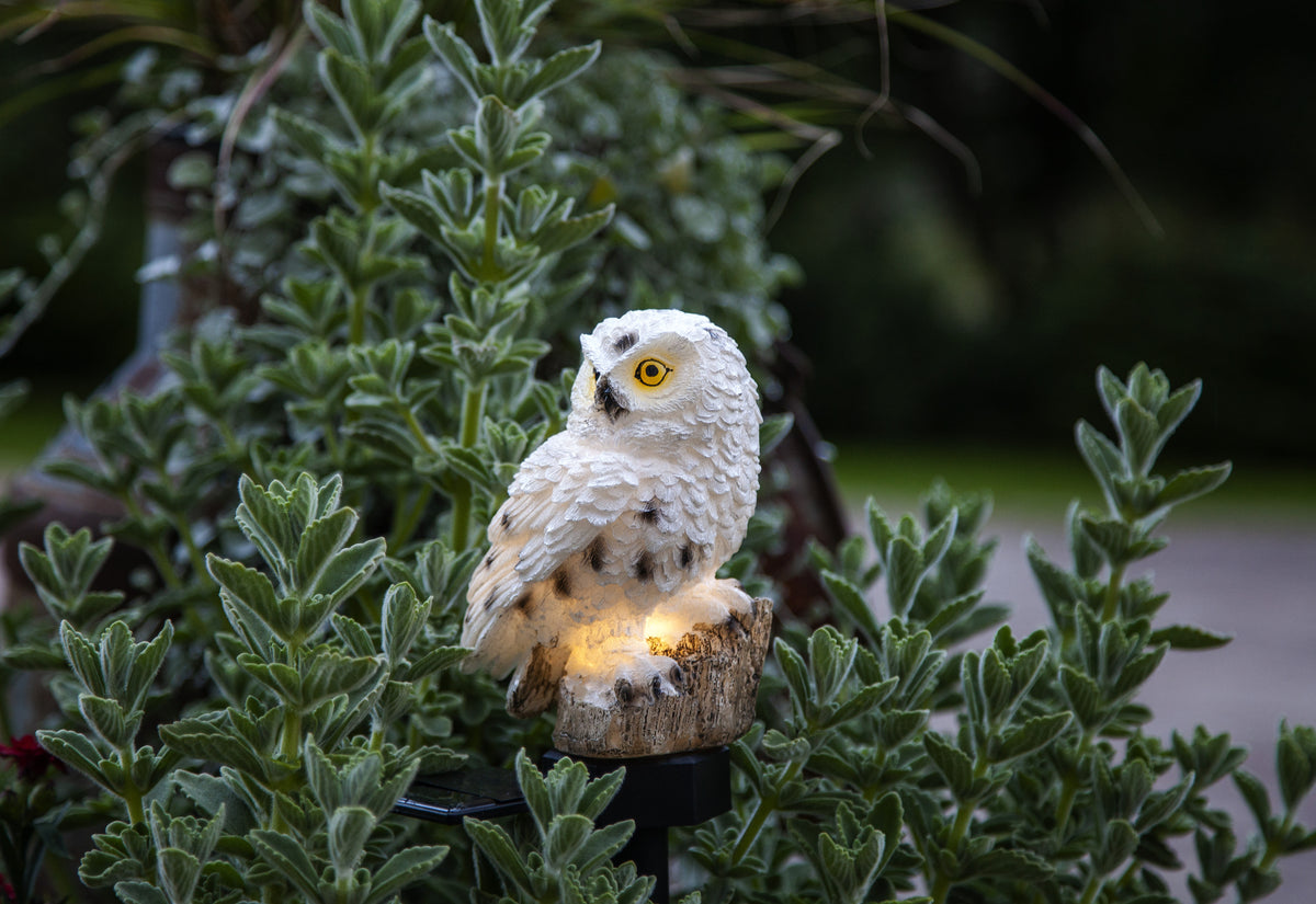 Dekorationsbelysning Solcell 'Owl'