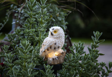 Dekorationsbelysning Solcell 'Owl'