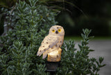 Dekorationsbelysning Solcell 'Owl'