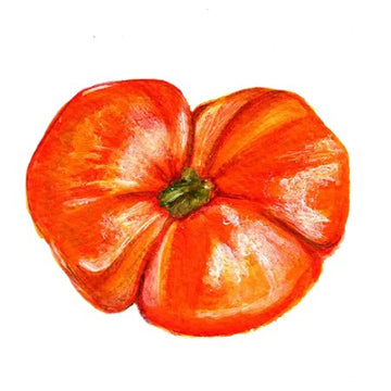 Dwarftomat 'Cherokee Tiger Large Red'
