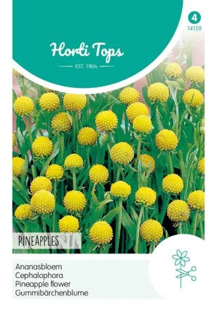 Äppelsolbrud 'Pineapples'