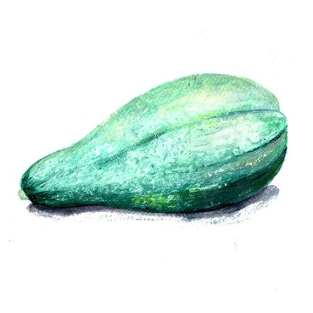 Vintersquash 'Blue Banana' Svenskodlat frö