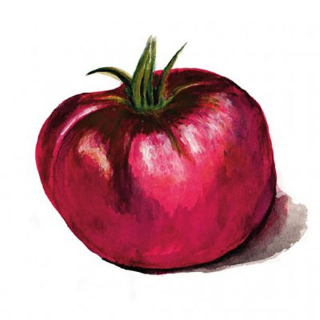 Bifftomat 'Cherokee Purple' Svenskodlat frö