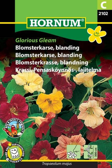 Slingerkrasse 'Glorious Gleam' Mix