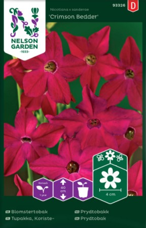 Blomstertobak 'Crimson Bedder'