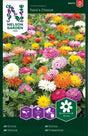 Zinnia 'Takii´s Choice'