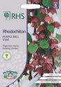 Törnrosas Kjortel 'Purple Bell Vine'