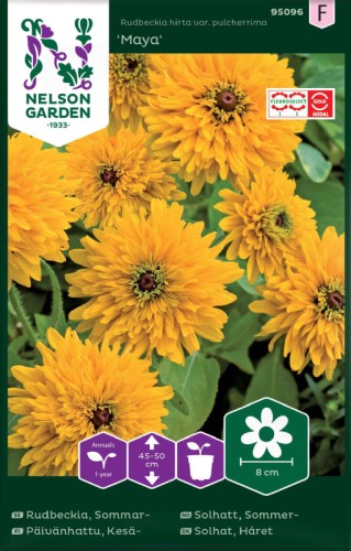 Sommarrudbeckia 'Maya'