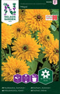 Sommarrudbeckia 'Maya'