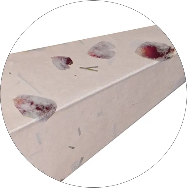 Pappersstjärna Care Vit rosblad 60cm