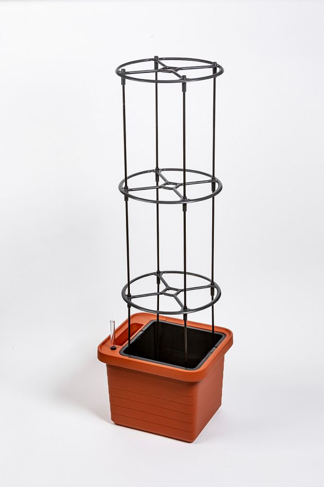 Växtstöd 'Berberis' H130cm