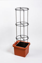 Växtstöd 'Berberis' H130cm