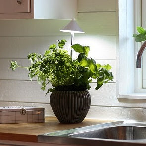 Sunlite växtlampa Vit - 7W