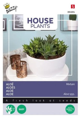 Inomhusväxt 'Aloe' Mix