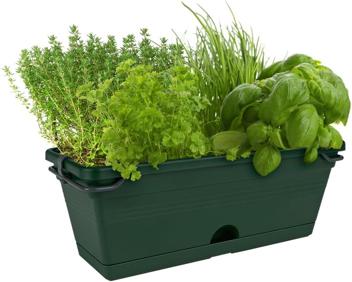 Green Basics Balkonglåda 30cm  - Leaf Green
