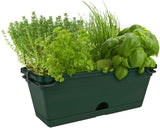 Green Basics Balkonglåda 30cm  - Leaf Green