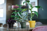 b.for Original Rund Ytterkruka 16cm Leaf Green