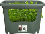 Green Basics Stack n Grow - Leaf Green