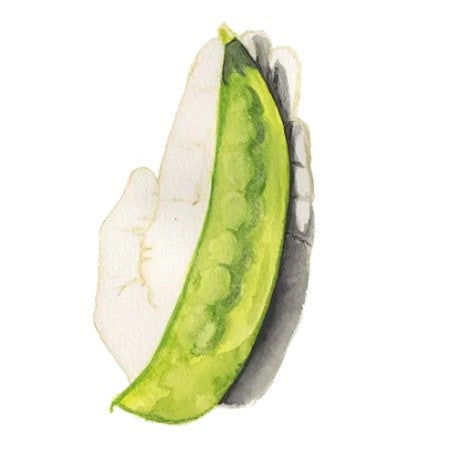 Lokförare Bergfälts Jätteärt
