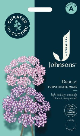 Blomstermorot 'Purple Kisses' Mix