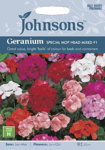 Pelargon 'Special Mop Head Mix' F1