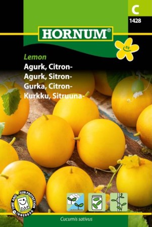 Äppelgurka 'Lemon'
