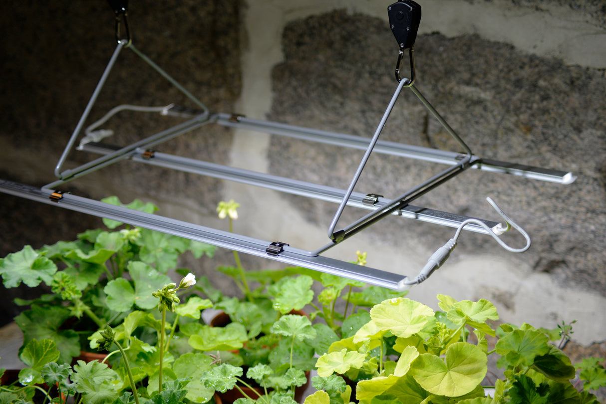 Växtbelysnings Hängare med hissmekanism