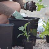 Planteringskruka Fyrkantig 25x26cm Svart