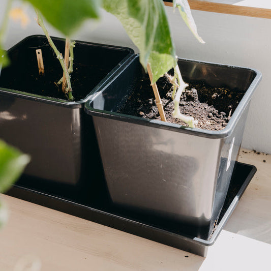 Planteringskruka Fyrkantig 25x26cm Svart