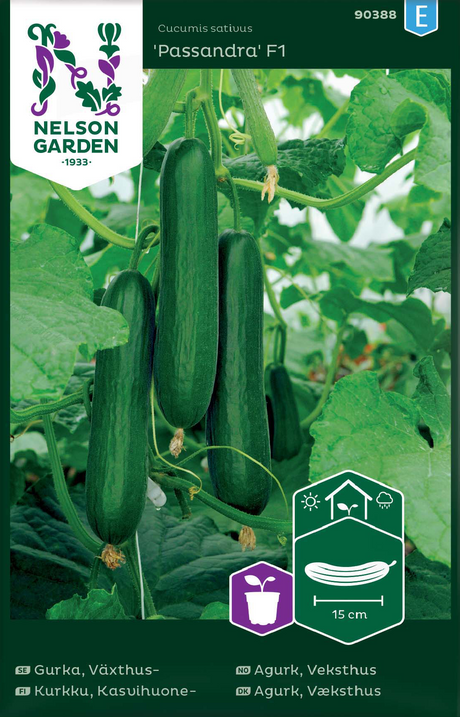 Växthusgurka 'Passandra F1' frö