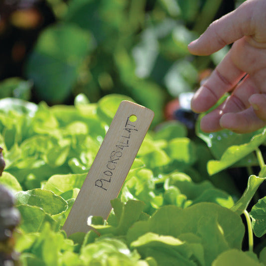 Sticketiketter Bambu 22cm - 8st