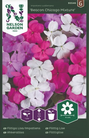 Flitiga Lisa 'Beacon Chicago Mixture' F1