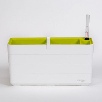 Odlingslåda 'Berberis 40' White